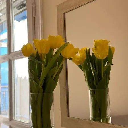 Appartement Artaki House With View *