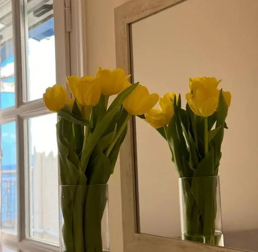 Apartamento Artaki House With View *